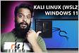 Problems installing gui on kali-linux wsl2